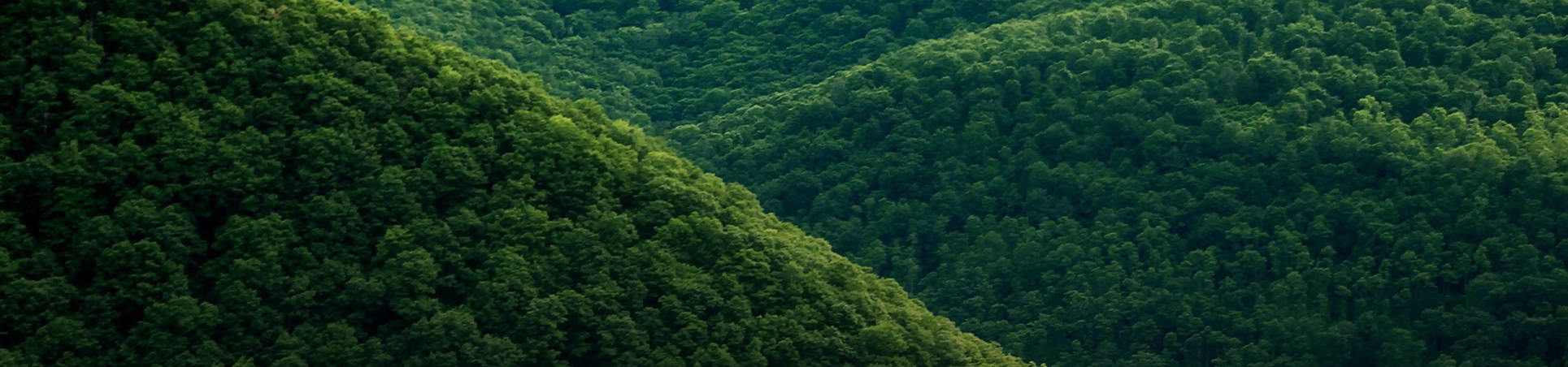 Zhejiang Eaed Technology Development Co., Ltd.